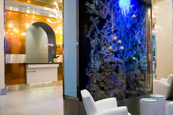 Amenities and Services