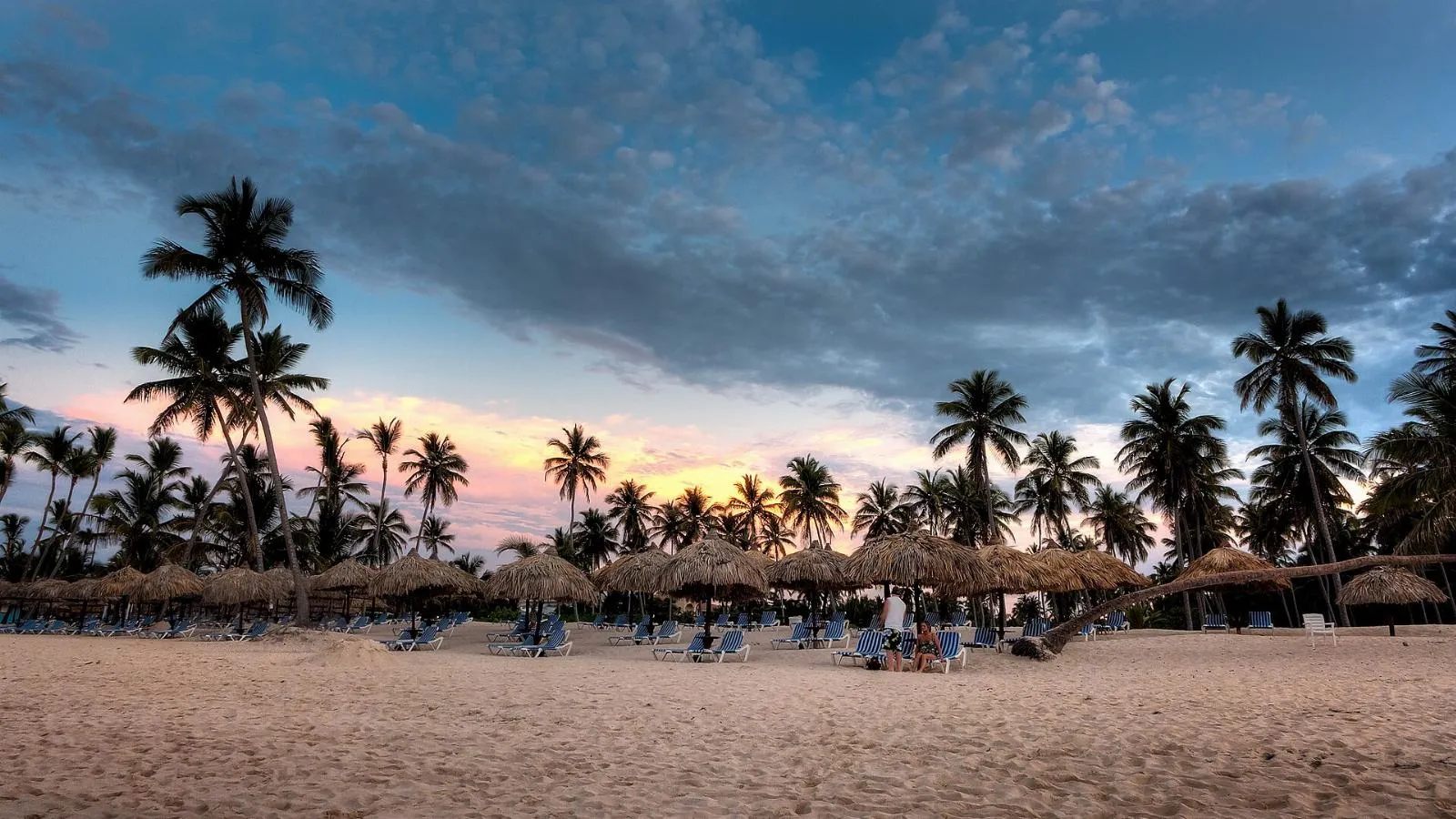 Palms on Bávaro beach at sunset